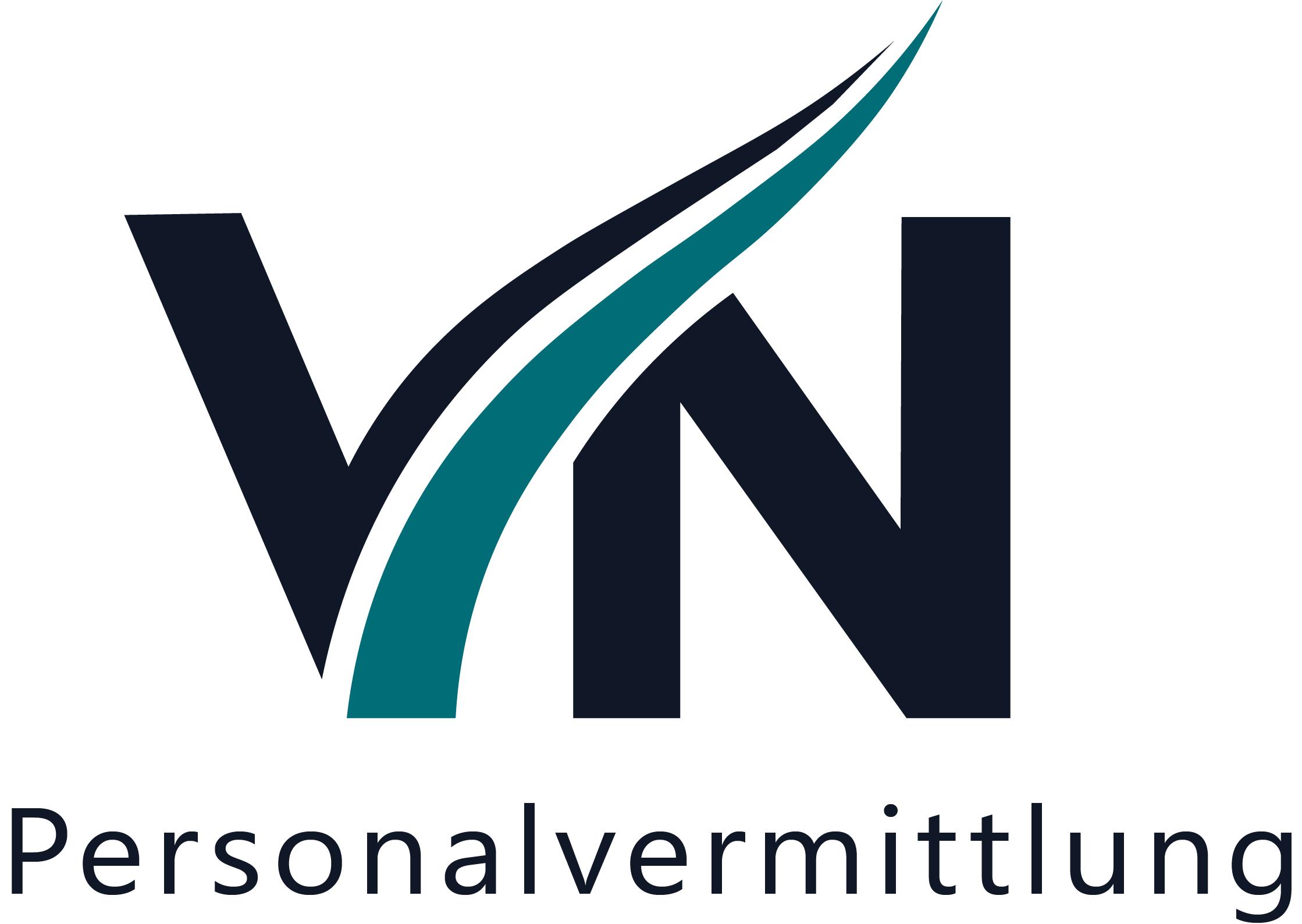 VN logo